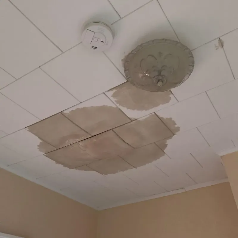 Ceiling Water Damage Repair in Wytheville, VA
