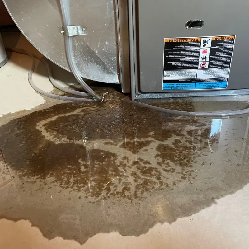 Pipe Burst and Leak Restoration in Wytheville, VA