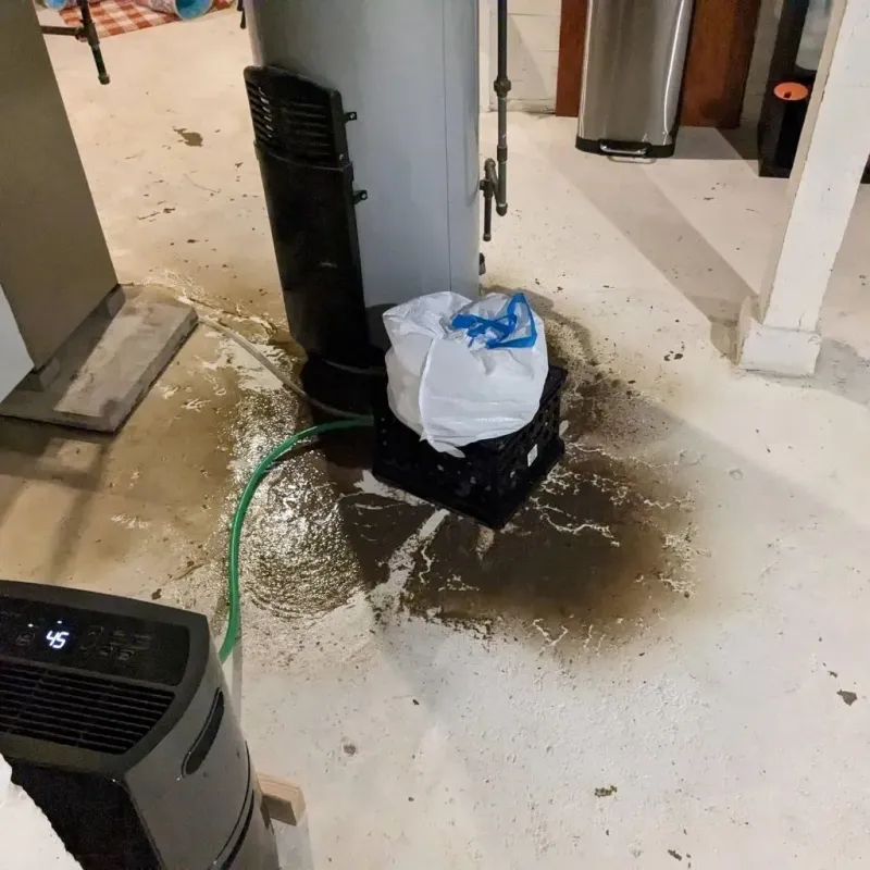 Sewage Backup Cleanup Service in Wytheville, VA